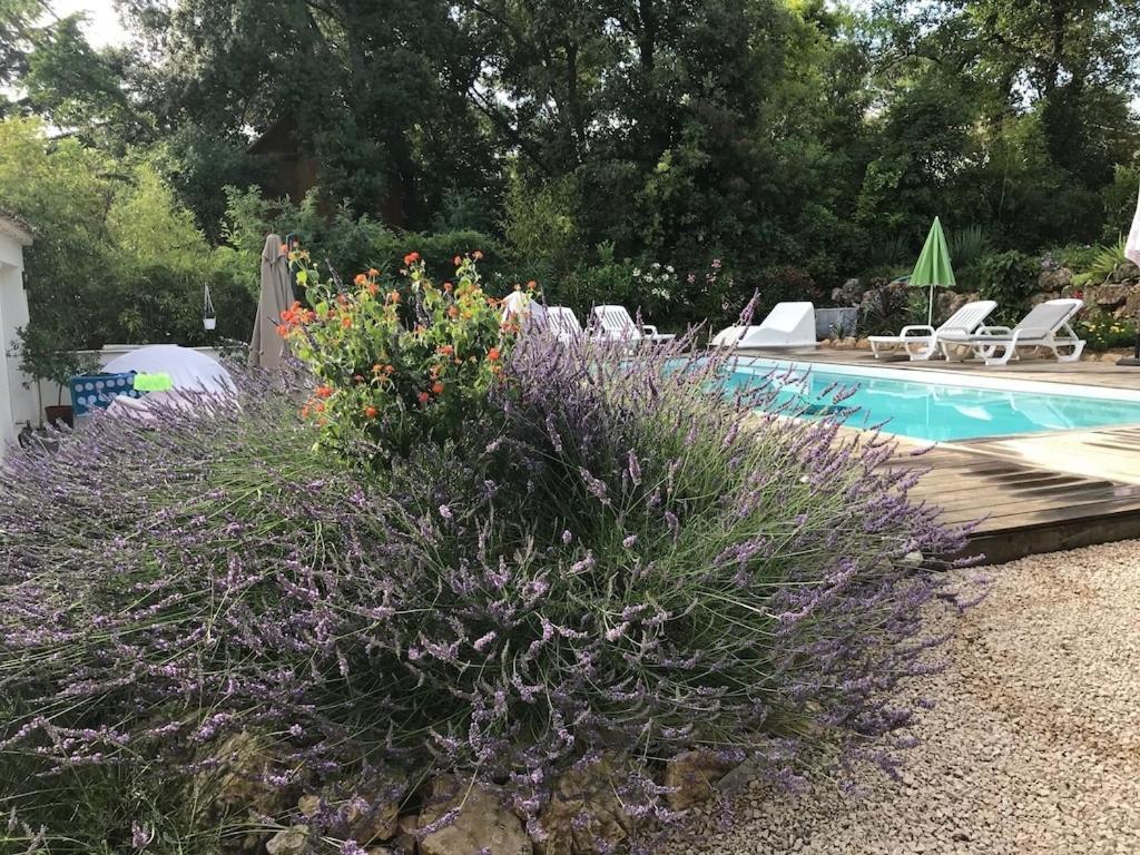 Villa Oha Close Cannes,Nice, Valbonne , Opio Roquefort-les-Pins Eksteriør bilde
